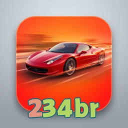 234br